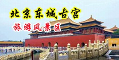 女人让男人进去视频网站中国北京-东城古宫旅游风景区